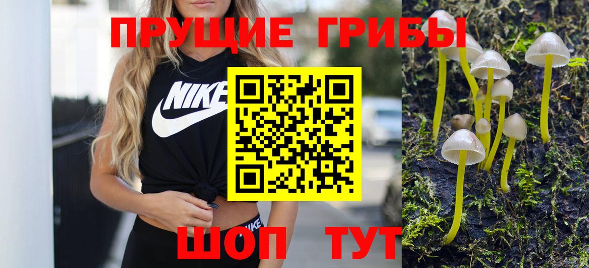 Галлюциногенные грибы Cubensis  Вход с VPN  Псилоцибиновые грибы MAGIC MUSHROOMS  что такое   Архангельск 